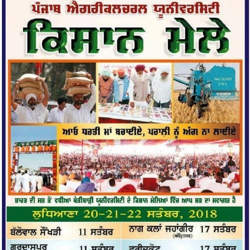 अपरिभाषित