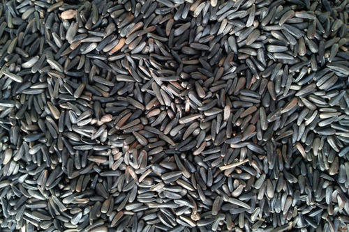 Niger Seeds Admixture (%): 1