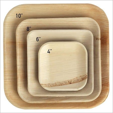 स्क्वायर पाम लीफ प्लेट