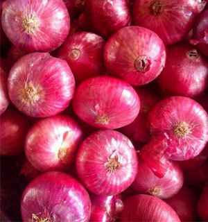 Red Fresh Onions