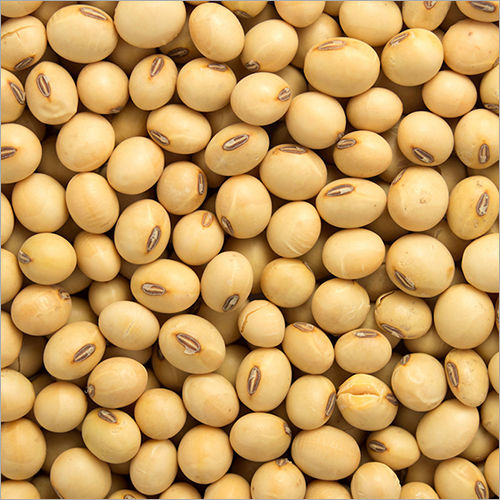 Yellow Soybean Seeds