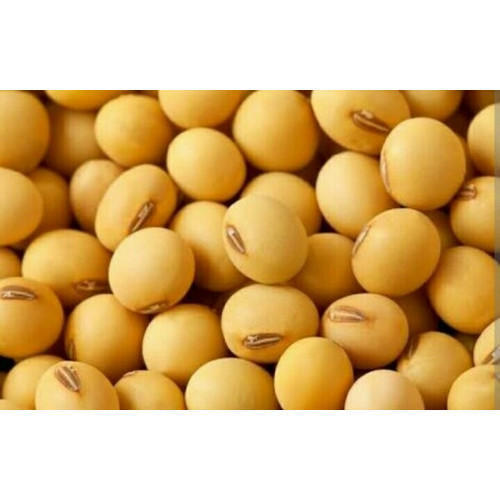 Soya Bean - 5-8 mm Round Yellow | 10-14% Moisture, 35-45% Protein, 18-22% Oil Content