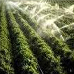 Horiculture Tools