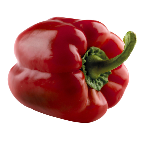 Capsicum Flavour Essence