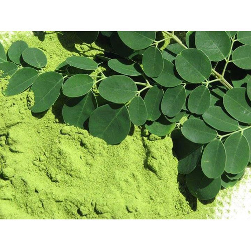 Moringa Leaf Powder - Nutrient-Dense Herbal Supplement for All Ages | Antioxidant, Anti-Aging, Improves Immunity, Promotes Digestion, Long Shelf Life, Freshness Retained Packaging