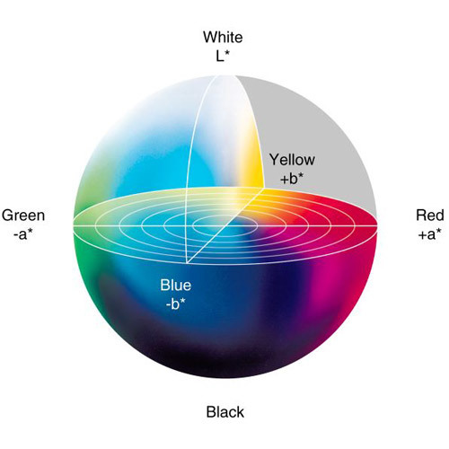 रंग वितरण कैल्शियम कार्बोनेट पाउडर