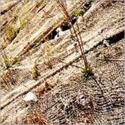 Jute Geo Textile