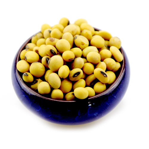 Soybeans Seed - Yellow, Small Round Seeds | High Protein, Nutrient-Rich, Ideal for Healthier Dishes