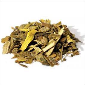 बरबेरीस अरिस्टाटा