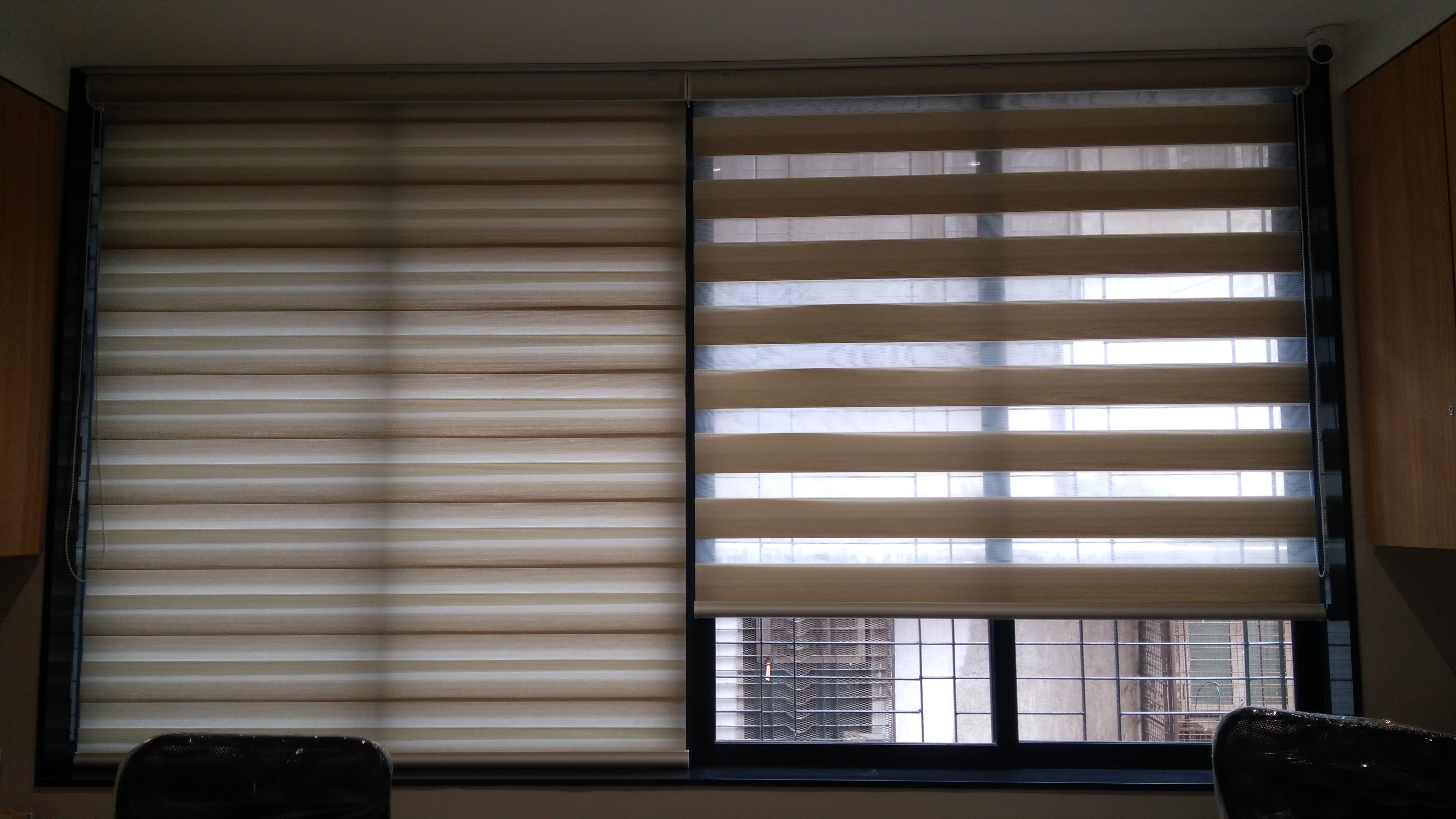 Tear-resistant Zebra Blinds