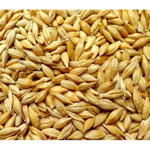 Barley Seeds Admixture (%): 1%