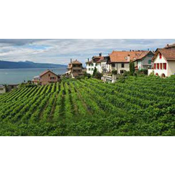 ईस्ट सिक्किम टूर सर्विस