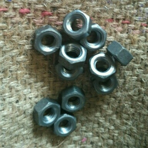 Slotted Hex Nuts