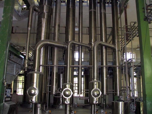 Starch & Starch Derivatives