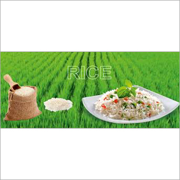 Rice
