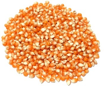Yellow Maize Admixture (%): 1%