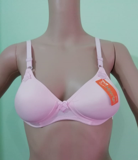 Padded Bra - 79% Polyamide, 21% Elastane, Size 34/36, Mixed Colour | Smooth Microfiber, Soft Brushed Hook & Eye, Seamless Design, Fully Adjustable & Detachable Straps