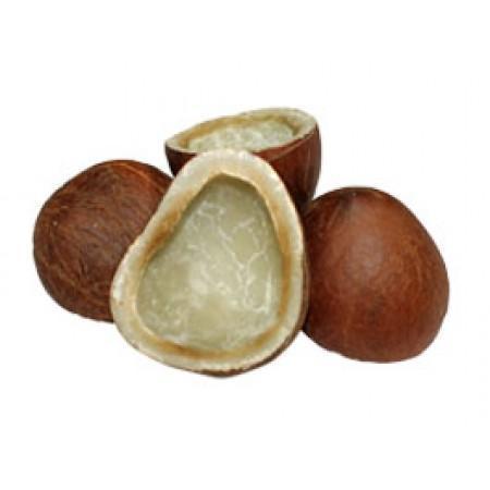 White Coconut Copra