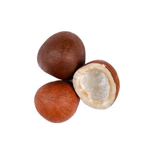 White Coconut Copra
