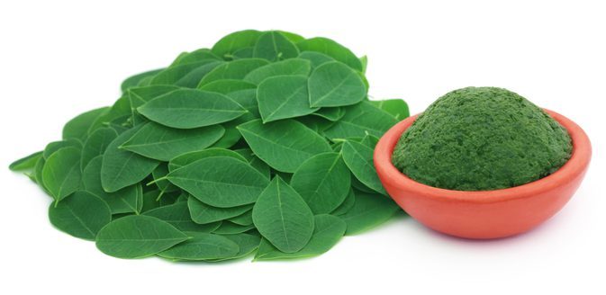 Moringa Leaves