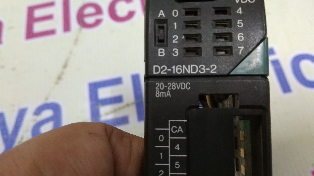 Direct Logic Module