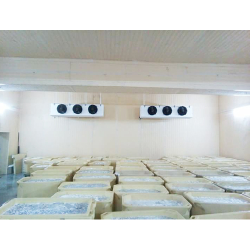 Freezer Room