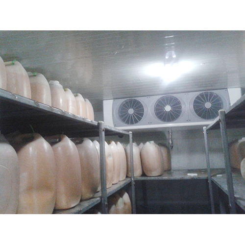 Freezer Room