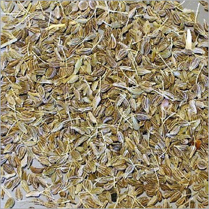 गाजर के बीज का तेल