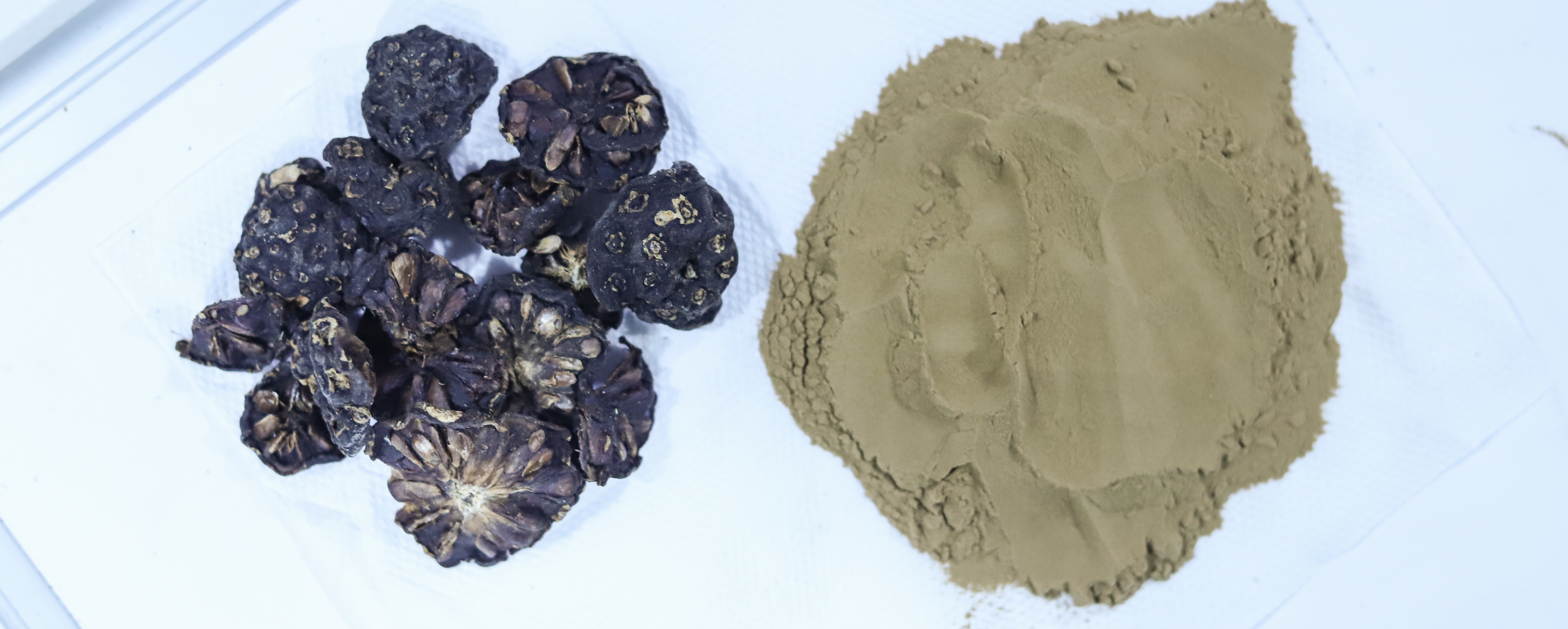 Light Brown To Dark Brown Noni Extract