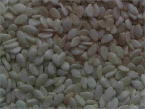 Hulled Sesame Seeds