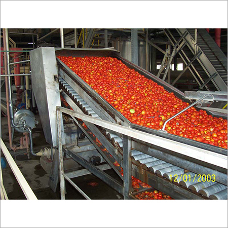 Tomato Processing Line Capacity: 1000 To 25000 Kg/Hr