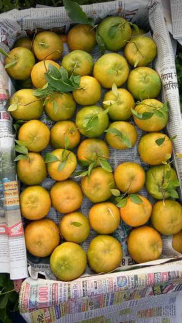फ्रेश ऑरेंज