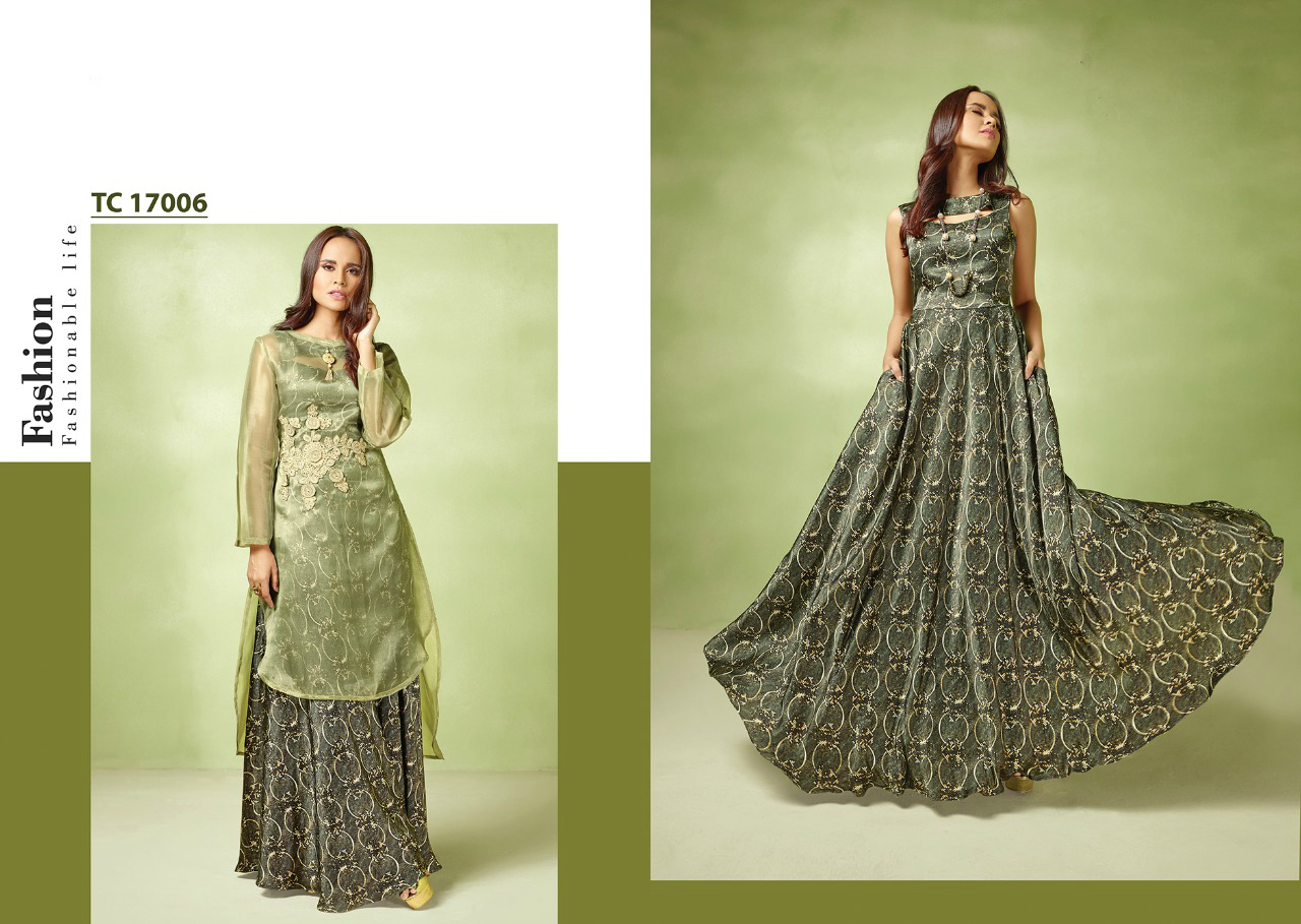 Dry Cleaning Exclusive Ladies Gown