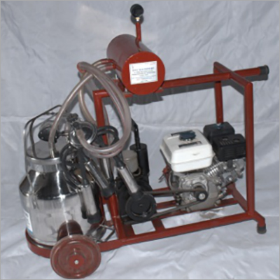 Single Bucket Single Cluster Engine