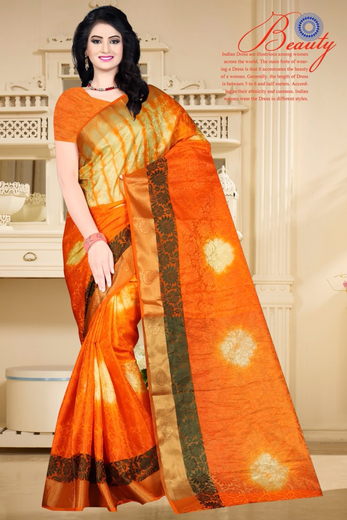 Traditional Tussar Silk Saree