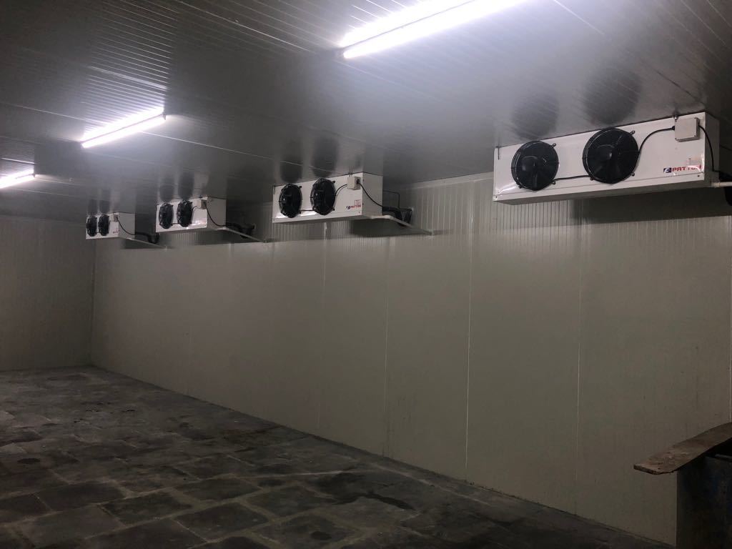 Ppgi Walk In Freezer