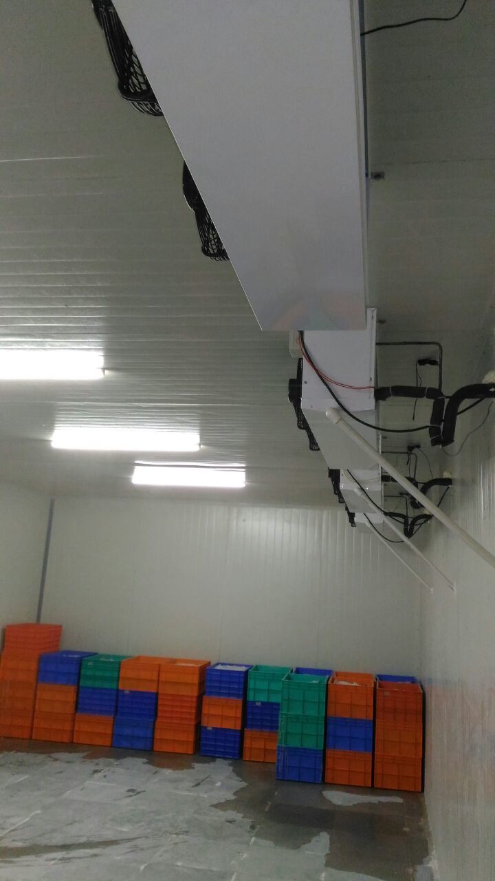Ppgi Walk In Freezer