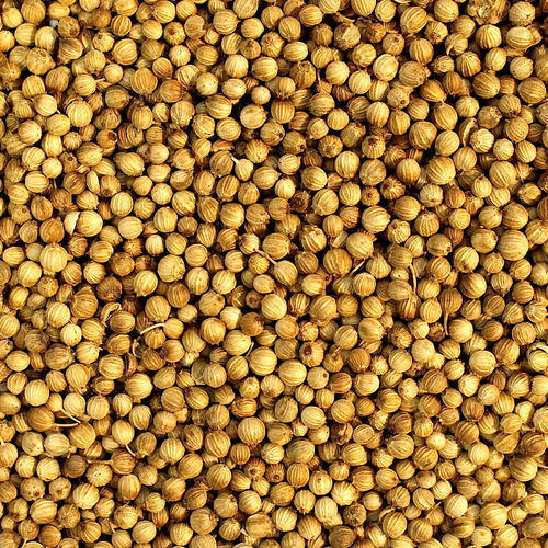 Brown Coriander Seeds
