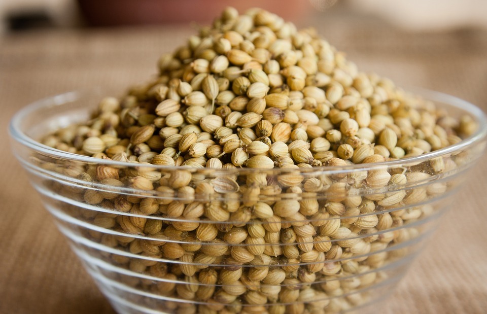 Brown Coriander Seeds