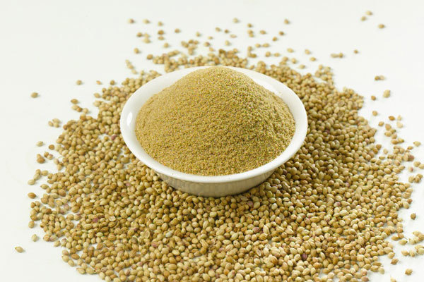 Light Green Coriander Powder