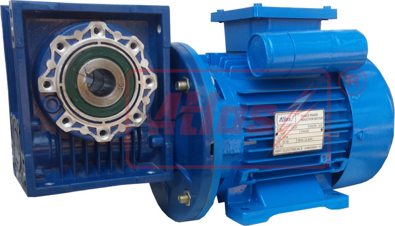 Single Phase Worm Gear Motor - Color: Blue