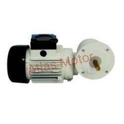 Single Phase Worm Gear Motor - Color: Blue