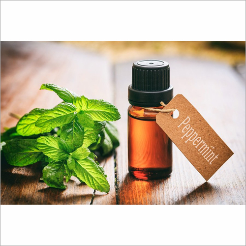 Peppermint Oil - Herbal Extract from Leaves, 2-Year Shelf Life | Fragrance Compound, Provides Pain Relief, Store in Cold and Dry Place
