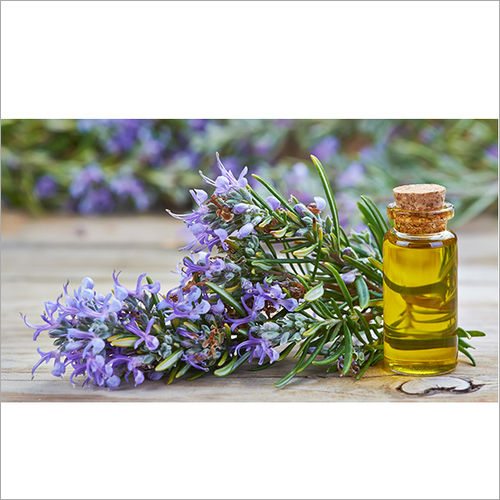 Rosemary Oil