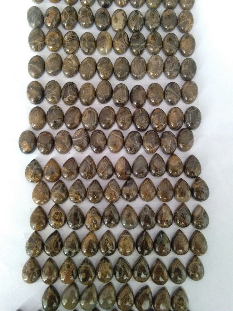 Fossil Jasper Stone Grade: Fine Good Polish