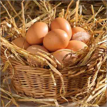 ताज़ा मुर्गी के अंडे