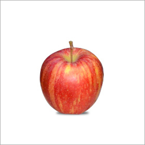 Royal Gala Apple