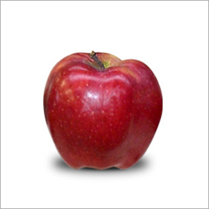 Red Chief Apple