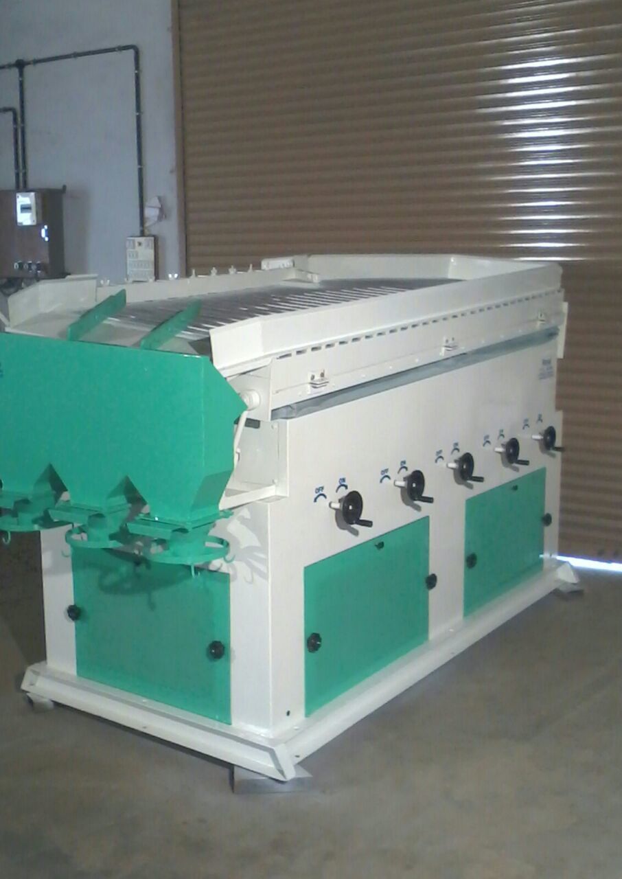 Cleaning Plant