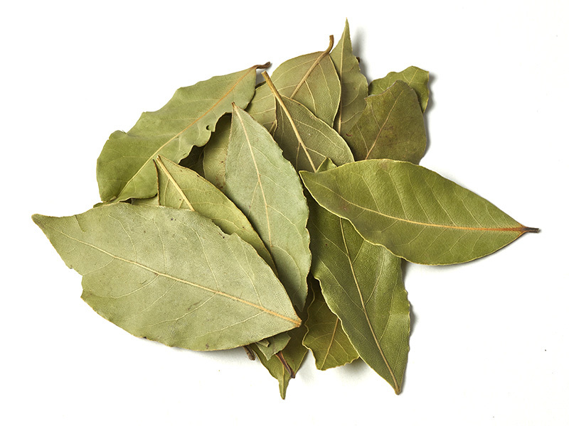 Light Green Bay Leaves